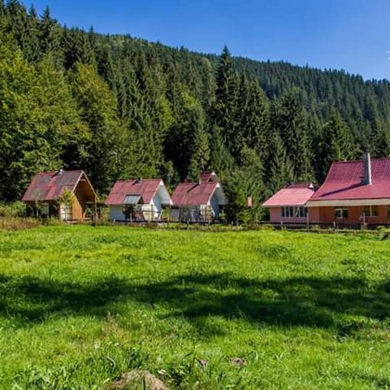 Cabana Valea Stanciului Rachitele Exterior photo