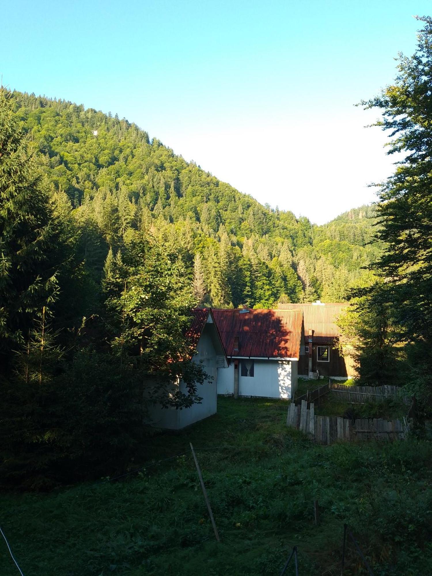 Cabana Valea Stanciului Rachitele Exterior photo